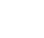 Tactical Visor