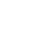 Duplicate