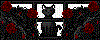 The Black Cat