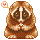 Hana the Slow Loris