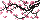 Cherry Blossoms