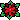 Flower of the Holy Night