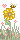 Sunflower Bee