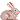 Candie