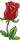 Red Rose