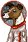 Laika