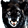 Black Wolf