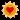 Sun Division
