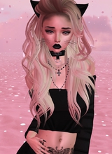 Noxi Display Picture