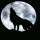 Howling @ the Moon