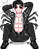Daddy Long Legs