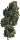 Ganja