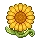 Golden Sunflower