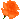 Orange Rose of Enthusiasm, Passion