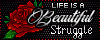 Beautiful Struggle