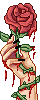 Dying Rose