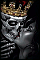 Lost King