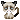 Grumpy cat is grumpy.