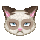 Grumpy Kitty