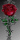 liliths rose