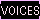 Voices