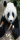 Panda ~ Eating-