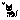 Cat2