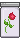 Red Rose