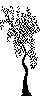 Black Tree