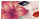 Katerina Avatar Badge