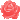 Young Rose