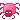 Neilas Pinky Pet Spider