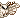 moth!