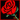 JeryRose Shop