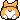 Corgibooty