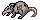 Frankie the Rat
