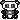 Photography panda