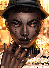 Hood Display Picture
