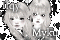 Ifqy Myku