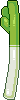 Leek 1