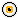 yellow eye