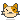 kitty kitty