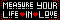 Measure your life in love