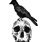 Dark Crow