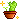 Kawaii Cactu