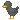 grey ducky