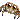 Jumping Spider