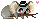 Mr. Koala