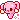 Cuterus