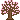 The Cherry Blossom
